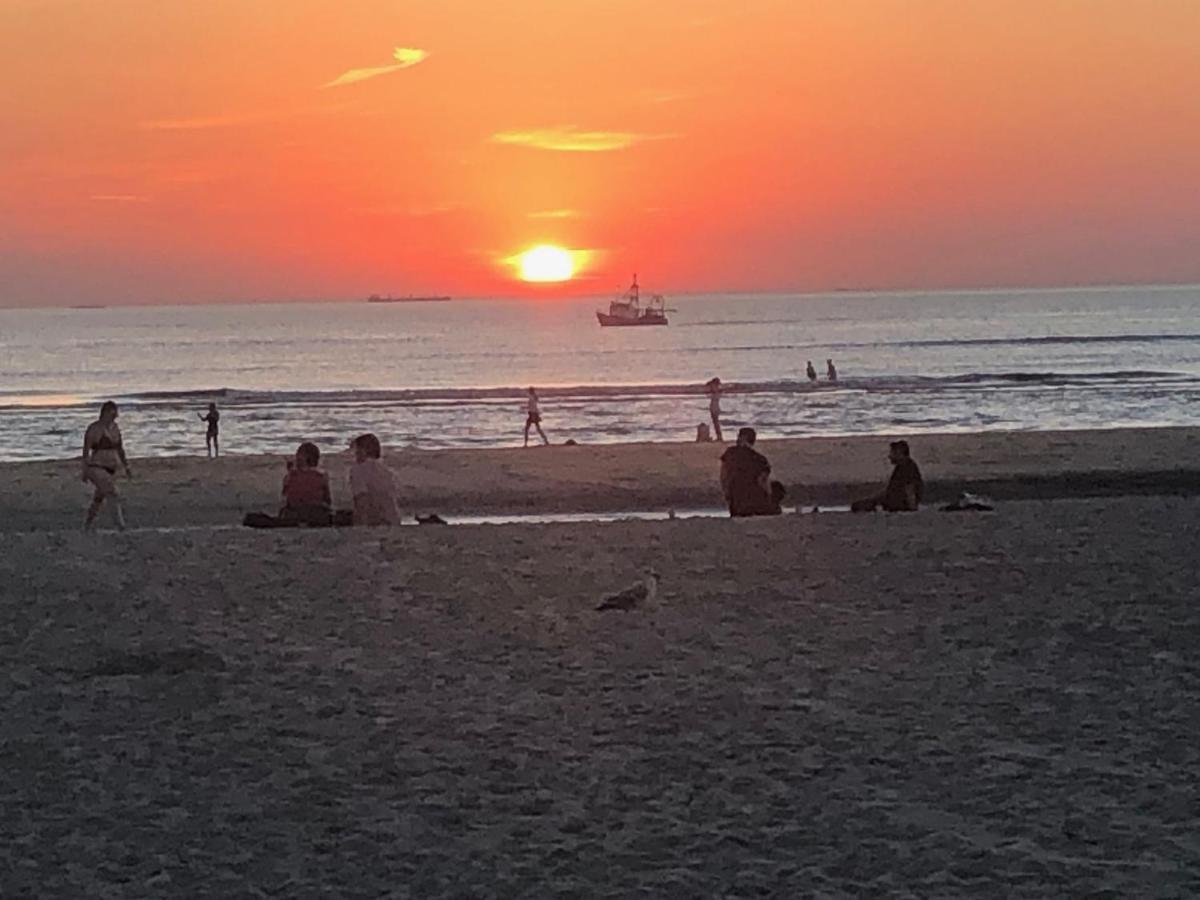 Huis Zeeduin Amsterdam Beach Zandvoort Luaran gambar